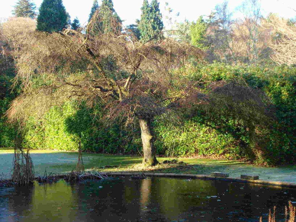 THE SALE OF TEKELS PARK TO A DEVELOPER. Tekels Park, Camberley, Surrey,  England. Theosophical Society. Tekels Park Guest House. Theoversity.  Camberley Lodge. Liberal Catholic Church